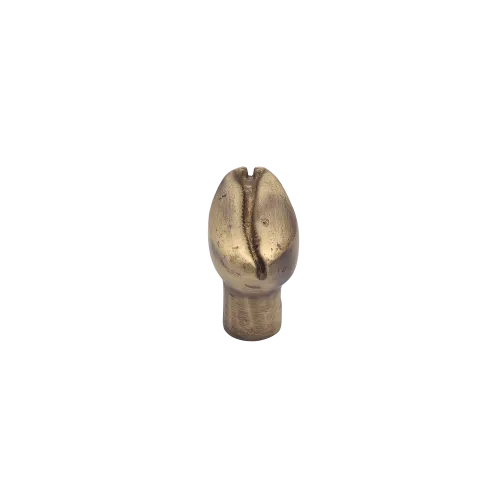 Cabinet knob Coquillage Bronze